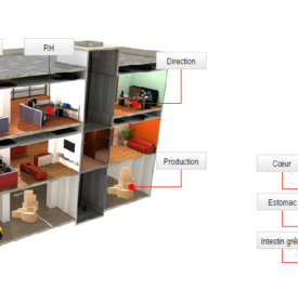 Le corps humain n'est-il pas le meilleur exemple à suivre ?