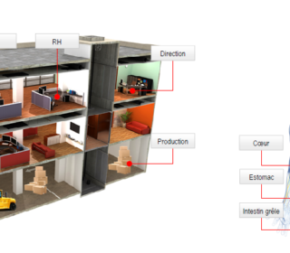 Le corps humain n'est-il pas le meilleur exemple à suivre ?